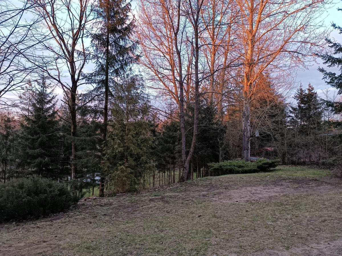 Rykowisko - Domki Caloroczne Nad Jeziorem I Rzeka Szczecinek Exterior photo